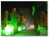 newyear2013_1